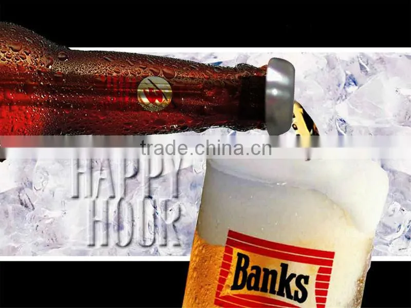 Wine accessories reusable stainless steel beer chill household supplier
