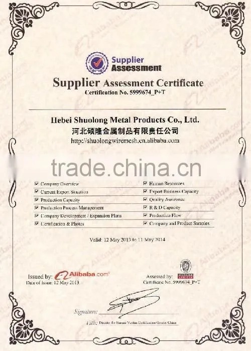 Shuolong Good Price High Quality 2x2 galvanized welded wire mesh for fence panel