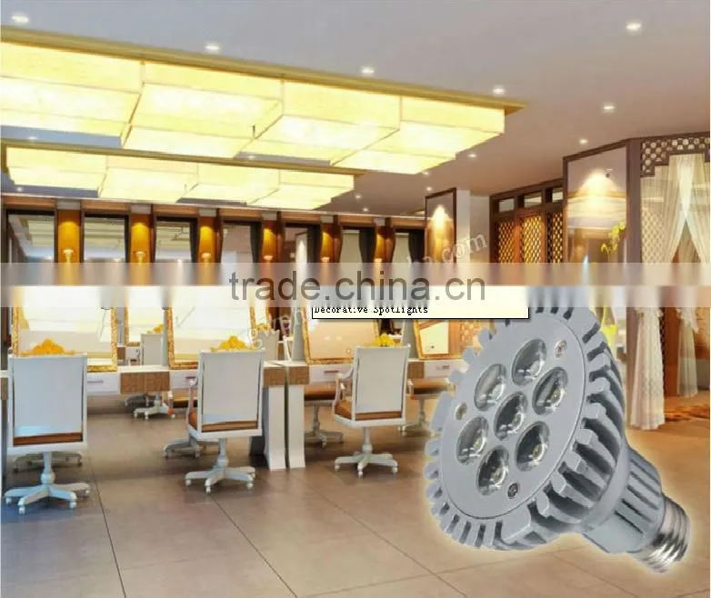 outdoor color changing led spotlight