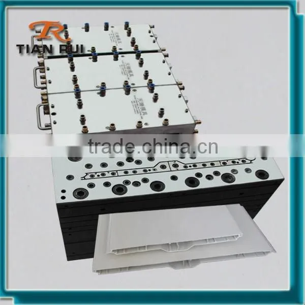 Plastic Car Door Panel Mould