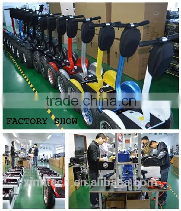 Ecorider hot selling off road self balancing electric scooter
