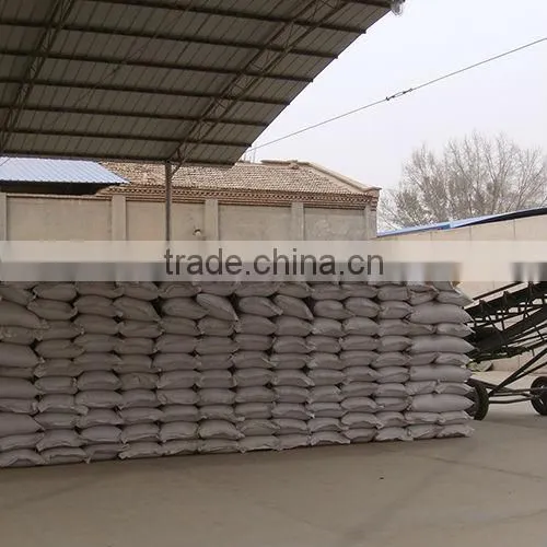 Broad/Fava Beans Qinghai or Gansu Origin