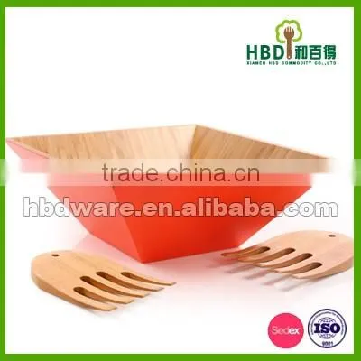 Square Salad Bowls set with color painting