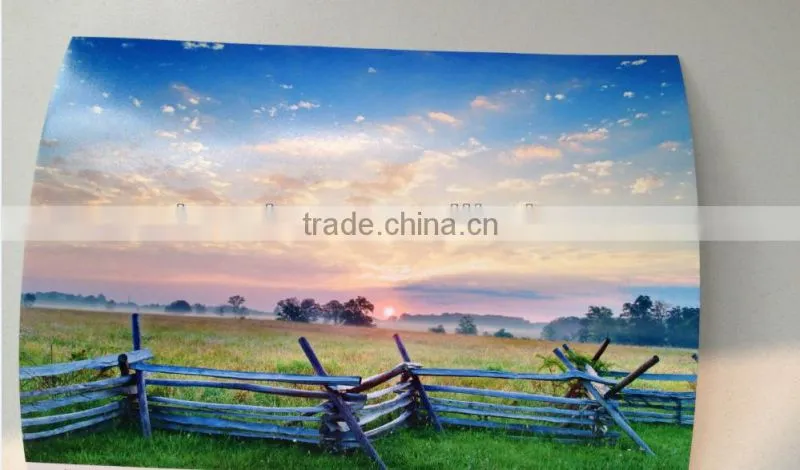 RC Roll Photo Paper waterproof, 240g, 0.203m,0.254mX30.5m,101m