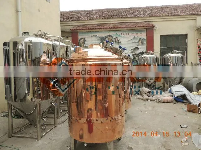 beer equipment made by SUS 304 or red copper/CE and ISO certification