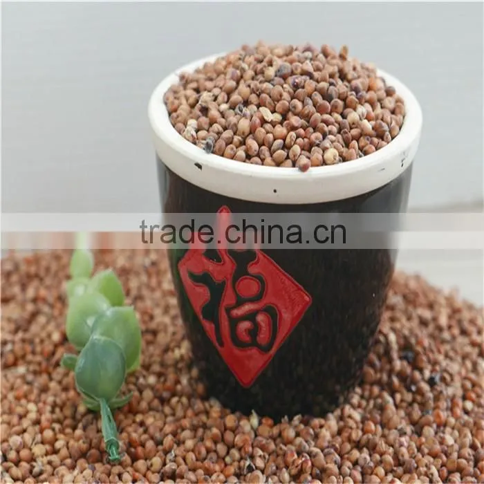 Natural Glutinous Red Sorghum price