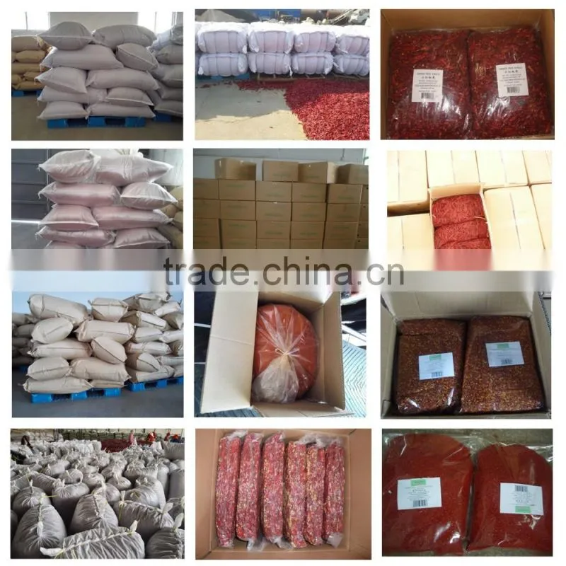 Hot Selling in Austrilia market Bullet Chilli Ring Dried Chilli cutted from China Factory Supplier