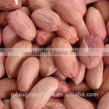 wholesale peanuts