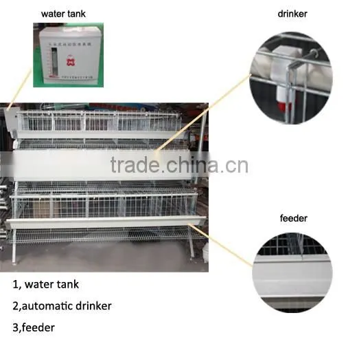 4 tiers chicken layer cage layer cages for sale chicken egg layer cages