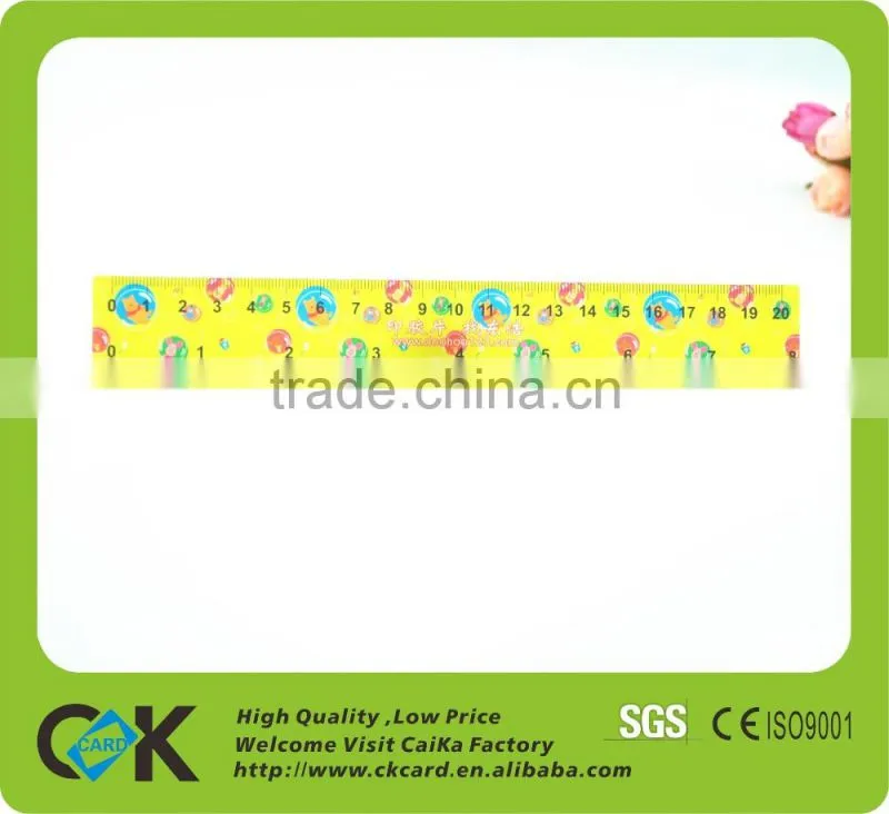 Competitive Price! Custom plastic ruler in wholesale