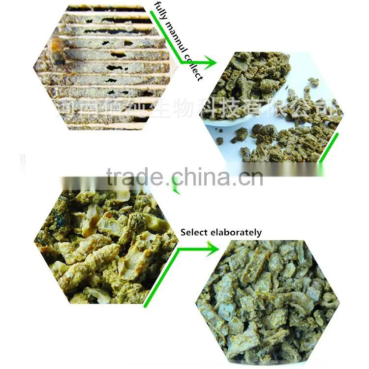extrato de propolis tablet with ISO Certificate and GMP
