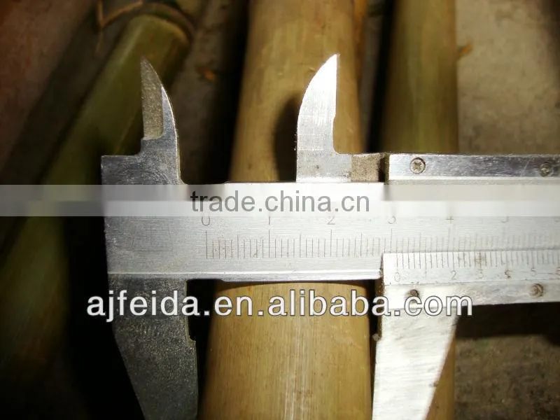 raw bamboo produce &bamboo cane