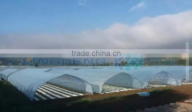 Small-scale Agricultural Greenhouse
