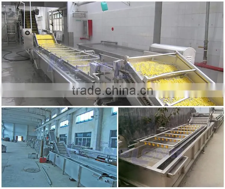 Hot Selling Chilli Washing Machine With Great Price