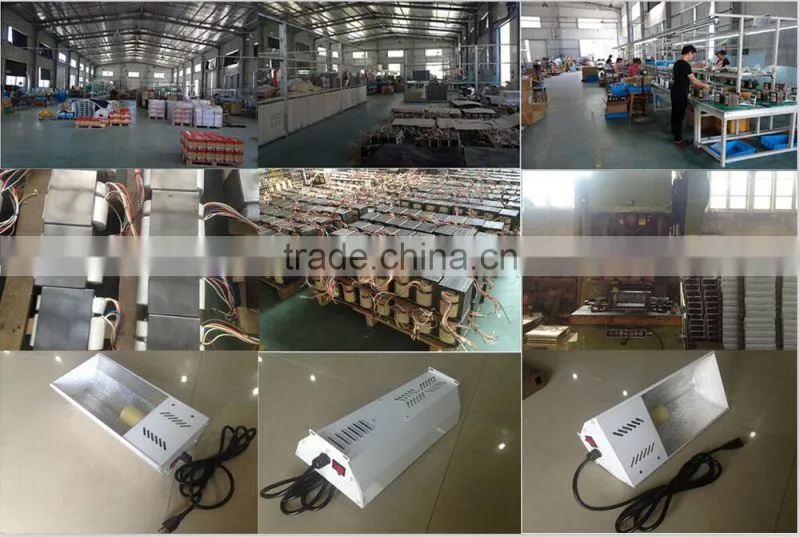 400w electric ballast use for Hydroponic light&Plant growth lamp