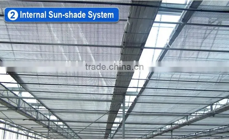 Cheap 30 x 100 greenhouse