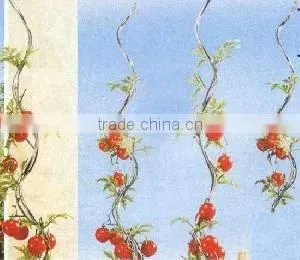 competitive flower plant support