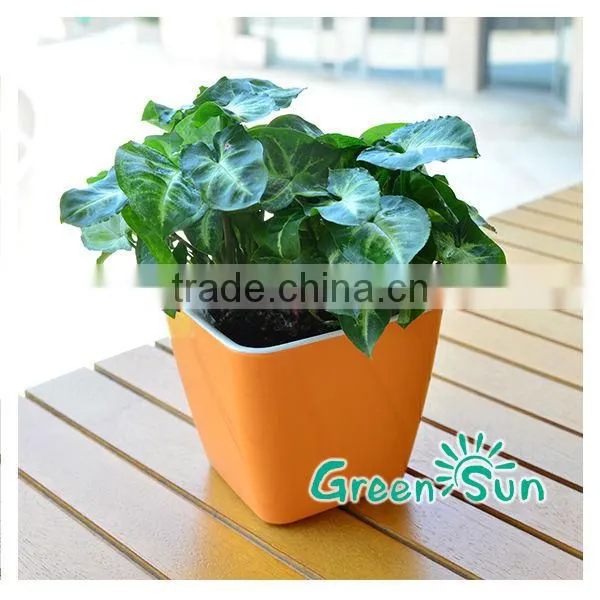 landscape flower pots,Orchid pots,desktop planter,hydroponic systems flower pots,plant pots,self-watering planter