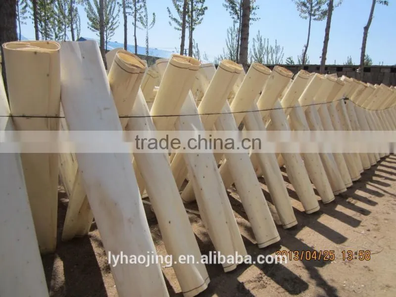 peeling machine with cutting in plywood factory