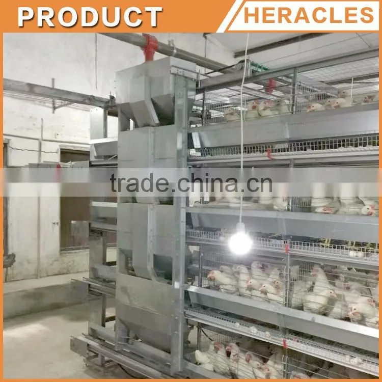 Heracles factory price poultry equipment automatic layer chicken egg cages