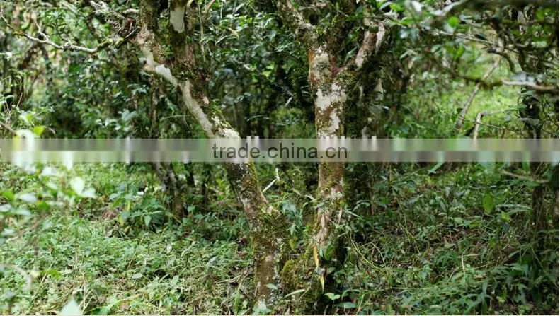 yunnan high grade palace puer tea, shu puer loose tea, Chinese slimming tea
