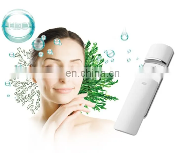 High Quality Skin Care Magic Product Portable Facial Steam Machine Nano Facial Handy Mist