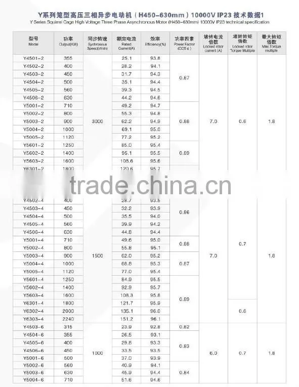 Y Series 10000V Squirrel Cage High Voltage three phase asynchronous motor (710-1000mm)