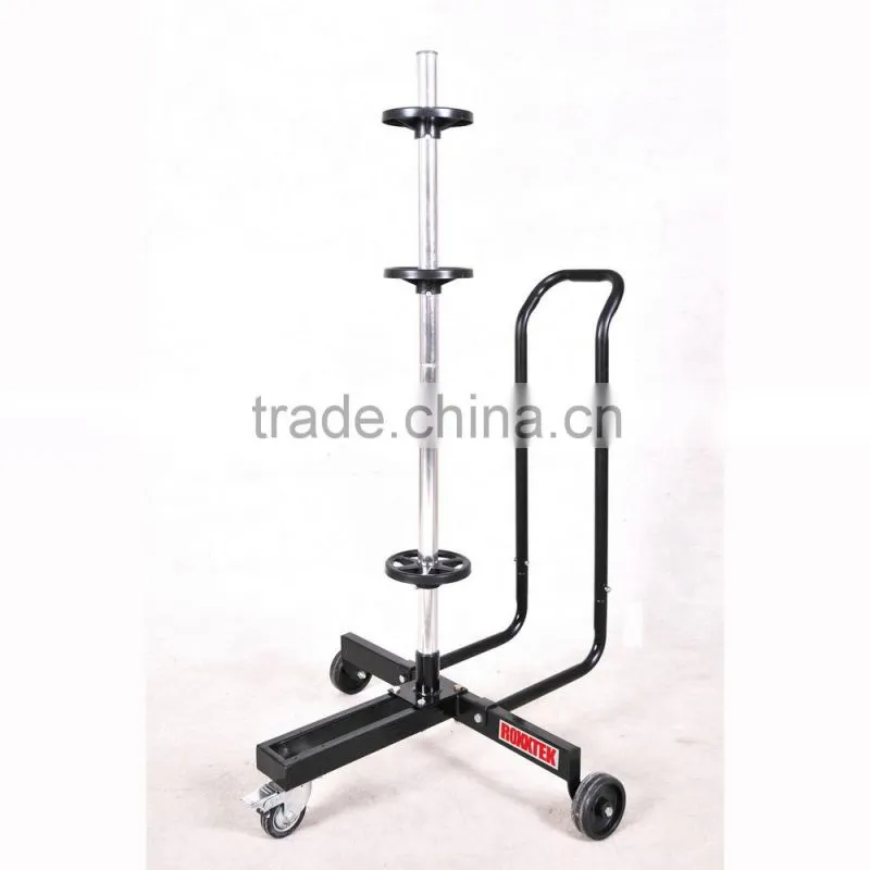 ceiling mount bike lift