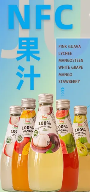 Mangosteen Juice Processing Machine Line