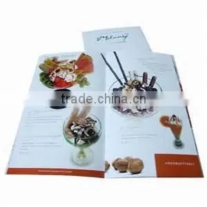 Gloss/Matt Art Paper Flyers Brochures Leaflets Printing