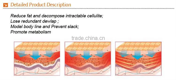 Hot New Products For 2014 Trilipo Cavitation Machine High Quality Vacuum Cavitation Machine