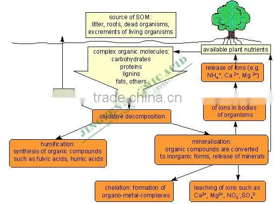 High Quality Humic Acid Leonardite Extract