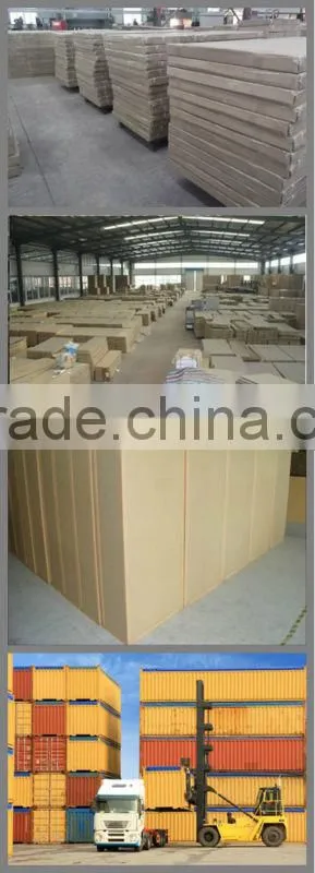 MK 2013 Hot sale multimedia classroom 2-seat step chair, College step chair,school desks & chairs
