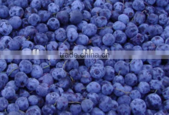 FORZEN BLUEBERRY