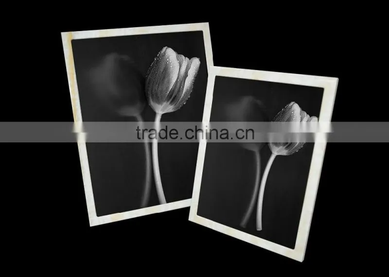 Latest Design Fashion Style Beautiful Flower Photo Frame