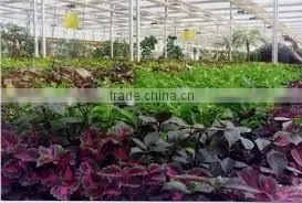 200 micron greenhouse film for agriculture