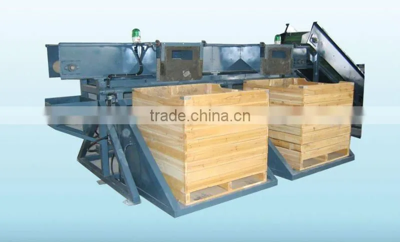 potato production line