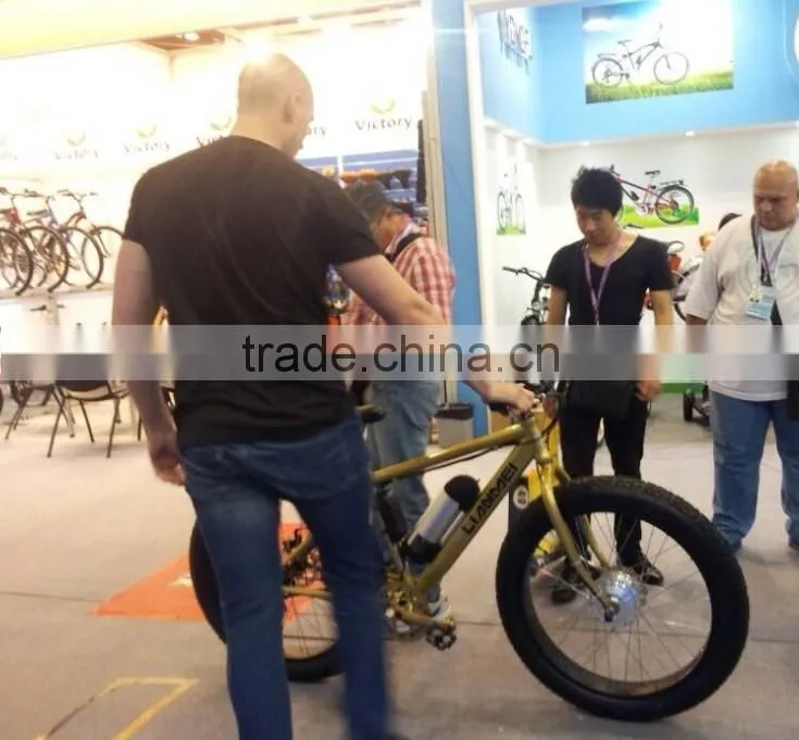 Mountain bike with electric motor