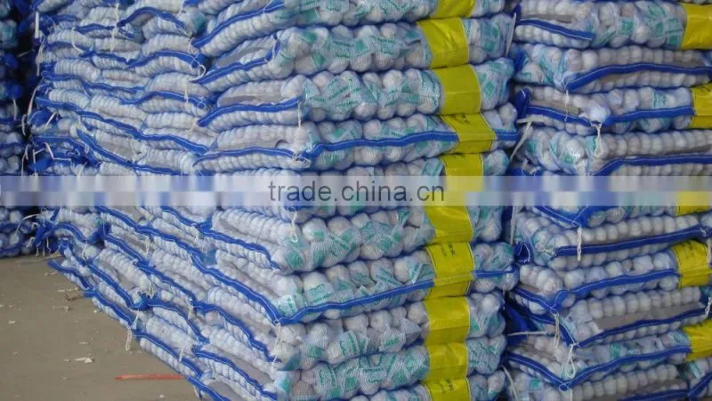 2016 factory garlic