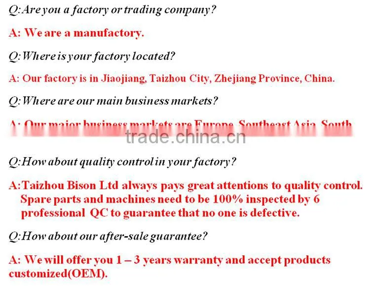BISON(CHINA) Small 12v DC Gasoline Generator