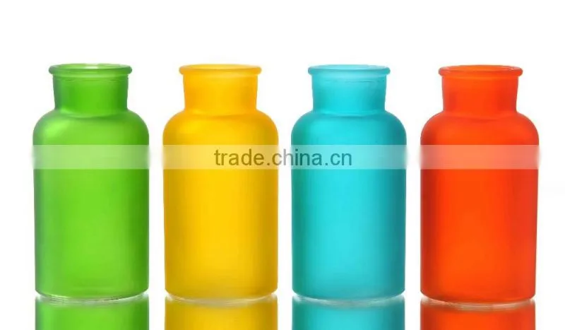 Essential Frosted Color Glass Vase