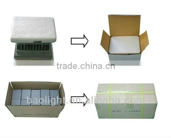 Ebay China IP65 100W Explosion Proof LED Floodlight 120V/220V