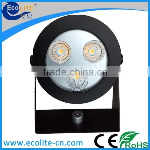 30W LED lamp hot selling CE approval good price decorate garden LED light