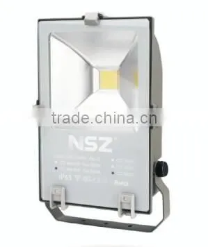 ZY-2042S-60W/80W/100W High lumen Bridgelux COB Waterproof IP65 Outdoor led flood light