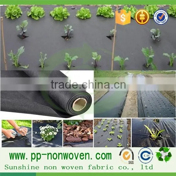 Weed Mat,anti pp weed mat,weed control/barrier mat