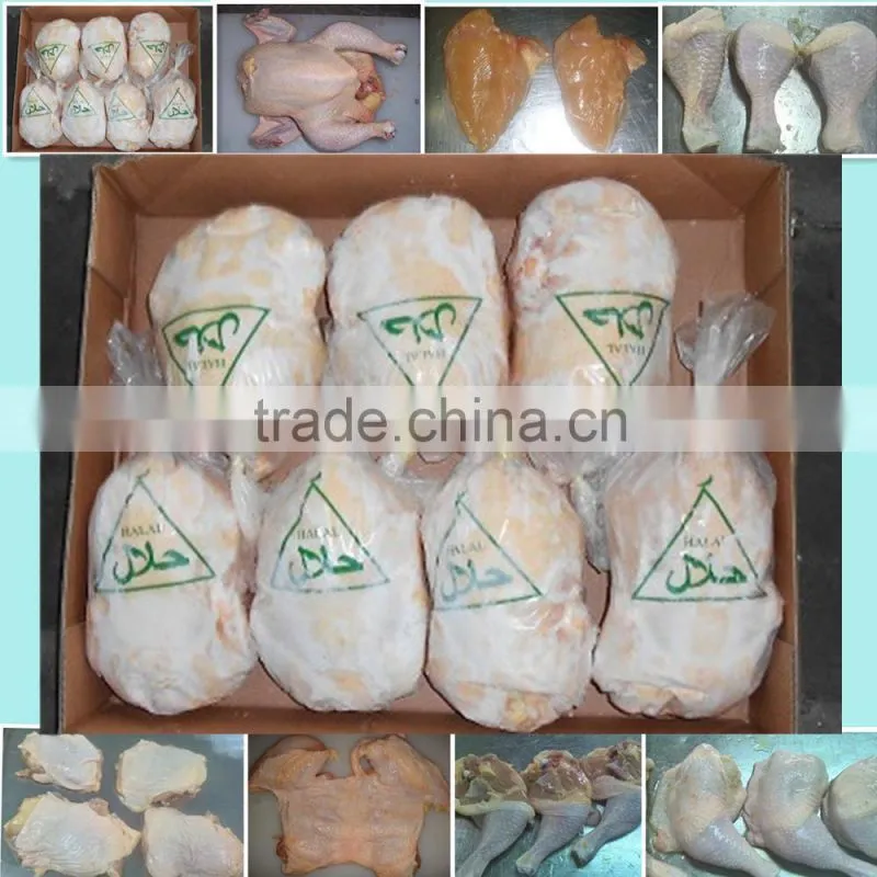 Best quality Wholesale frozen chicken