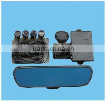 Visible parking sensor system