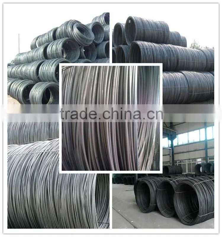 Top quality 5.5mm steel wire rod in coils SAE1008 SAE1006 Q195