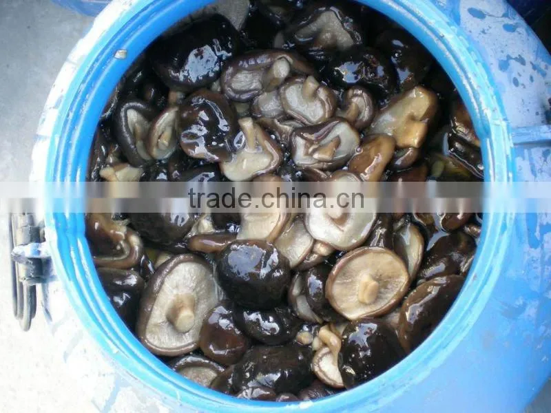 brined Shiitake / Lentinus edodes