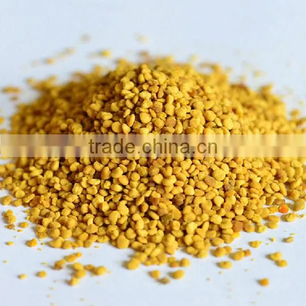 Chinese pure rape pollen/rape bee pollen for Korea exporting